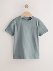 Grey Regular Fit Short Sleeve T-Shirt (3-16yrs) - Image 1 of 4