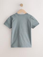 Grey Regular Fit Short Sleeve T-Shirt (3-16yrs) - Image 2 of 4