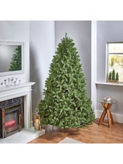 Premier Decorations Ltd 6.5ft Newberry Spruce Feel Real Christmas Tree - Image 1 of 5