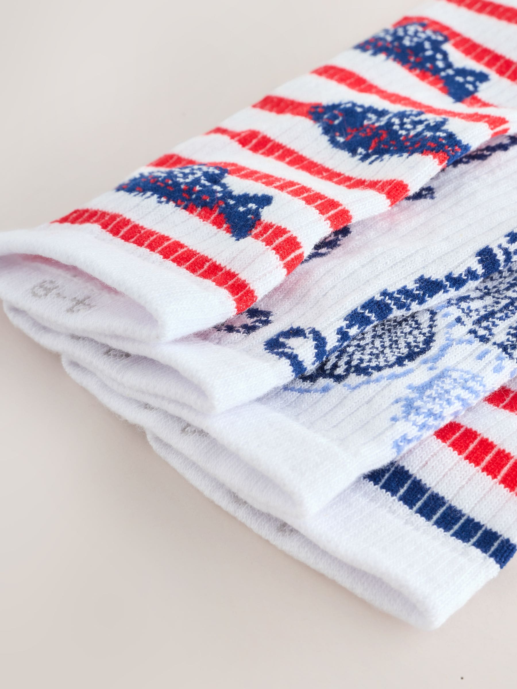 Buy Blue Nautical Trainer Socks 4 Pack from Next USA
