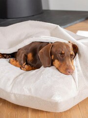Lords and Labradors Natural Herringbone Sleepy Burrows Dog Bed - Image 2 of 4