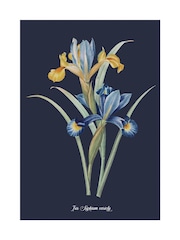 Graham & Brown Blue Glasshouse Iris Wood Frame - Image 4 of 4