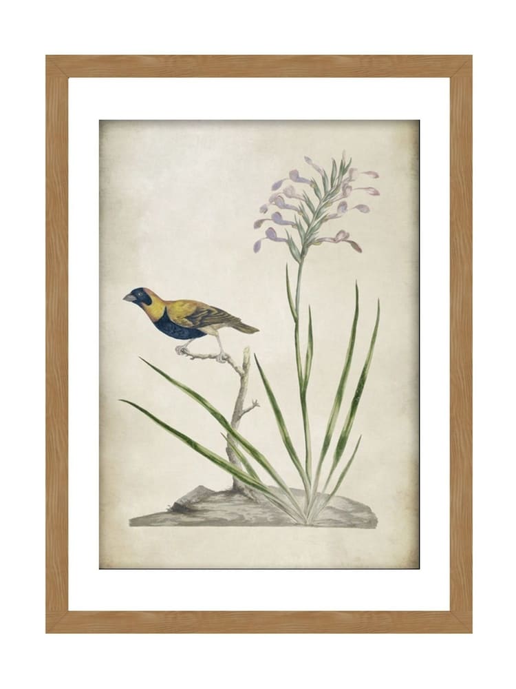 Graham & Brown Multicolour Birds Rest Wood Frame - Image 2 of 4