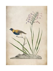 Graham & Brown Multicolour Birds Rest Wood Frame - Image 4 of 4