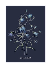 Graham & Brown Blue Glasshouse Bluebell Wood Frame - Image 4 of 4