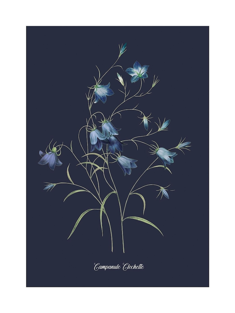 Graham & Brown Blue Glasshouse Bluebell Wood Frame - Image 4 of 4