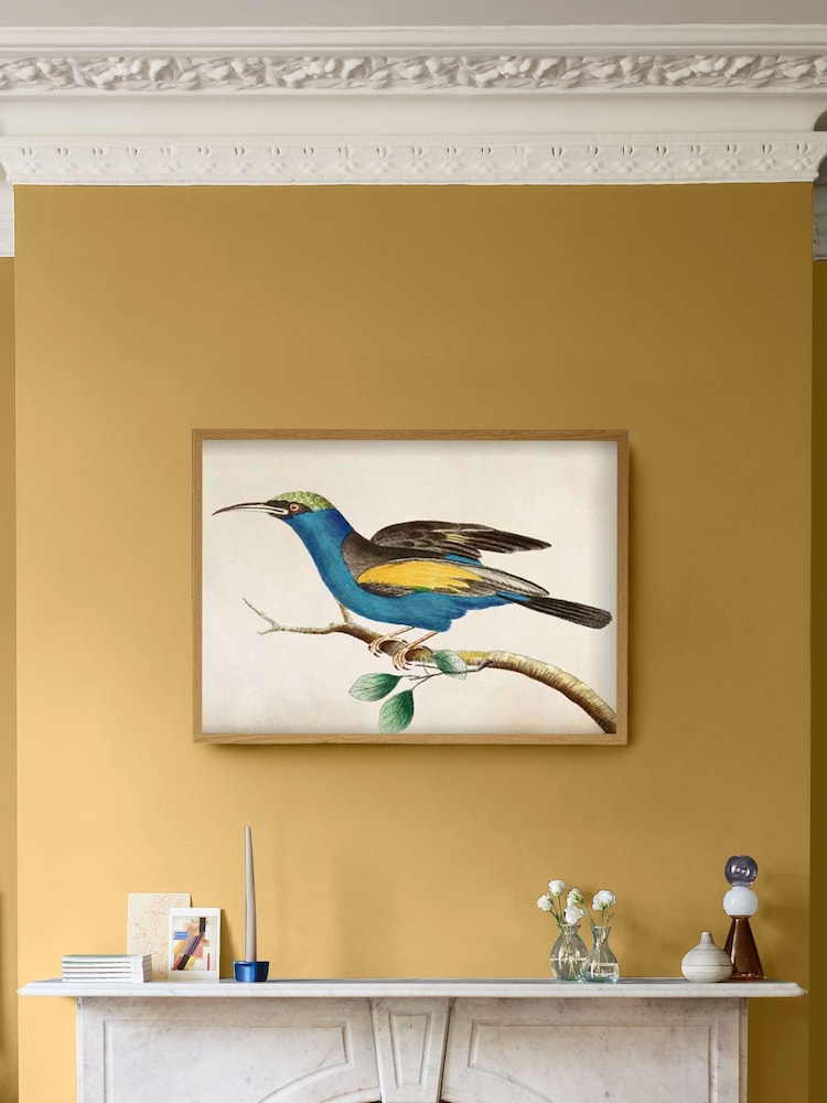 Graham & Brown Blue Ready For Flight Wood Frame - Image 1 of 4