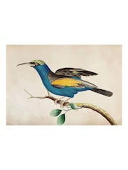 Graham & Brown Blue Ready For Flight Wood Frame - Image 4 of 4