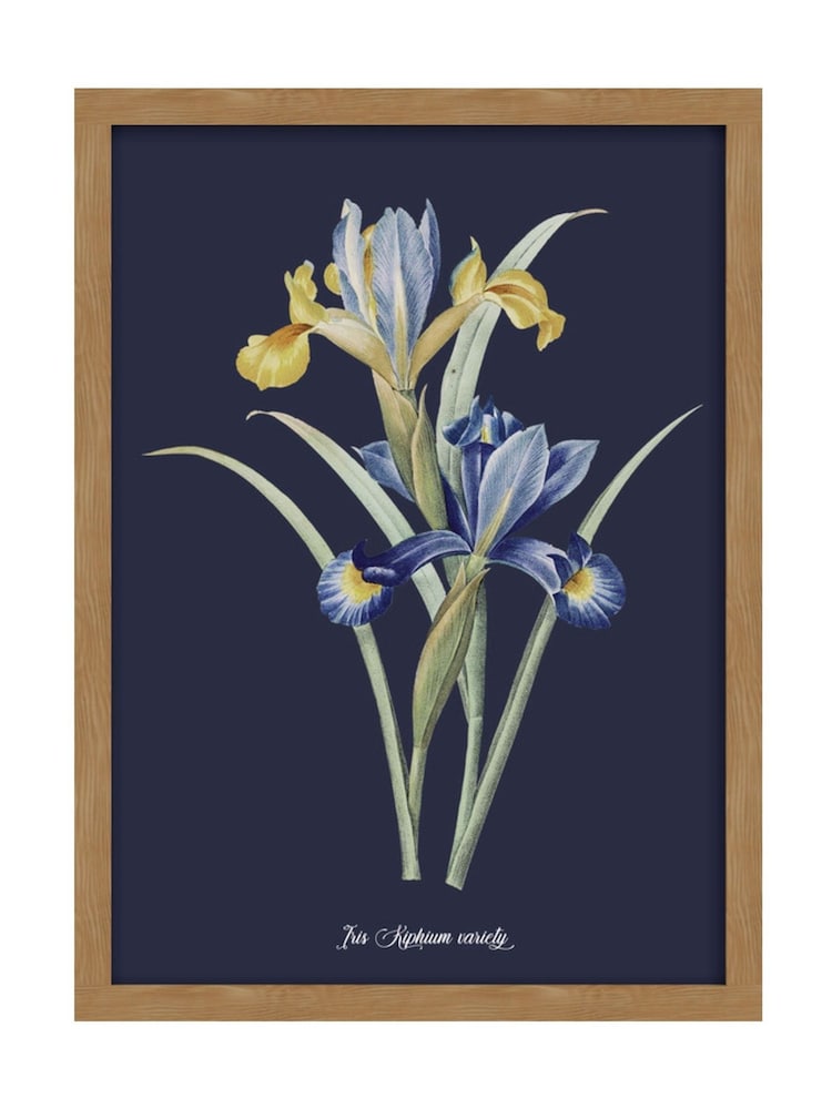 Graham & Brown Multicolour Glasshouse Iris Wood Frame - Image 2 of 4