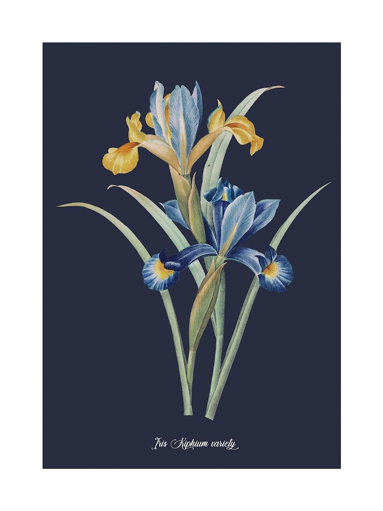 Graham & Brown Multicolour Glasshouse Iris Wood Frame - Image 4 of 4