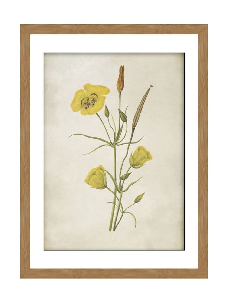 Graham & Brown Yellow Golden Wildflower Wood Frame - Image 2 of 4 Graham & Brown Yellow Golden Wildflower Wood Frame - Image 2 of 4