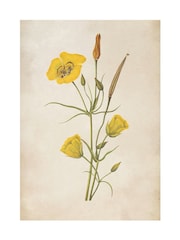 Graham & Brown Yellow Golden Wildflower Wood Frame - Image 4 of 4