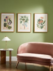 Graham & Brown Multicolour Botanique Jungle Bloom Wood Frame - Image 1 of 4