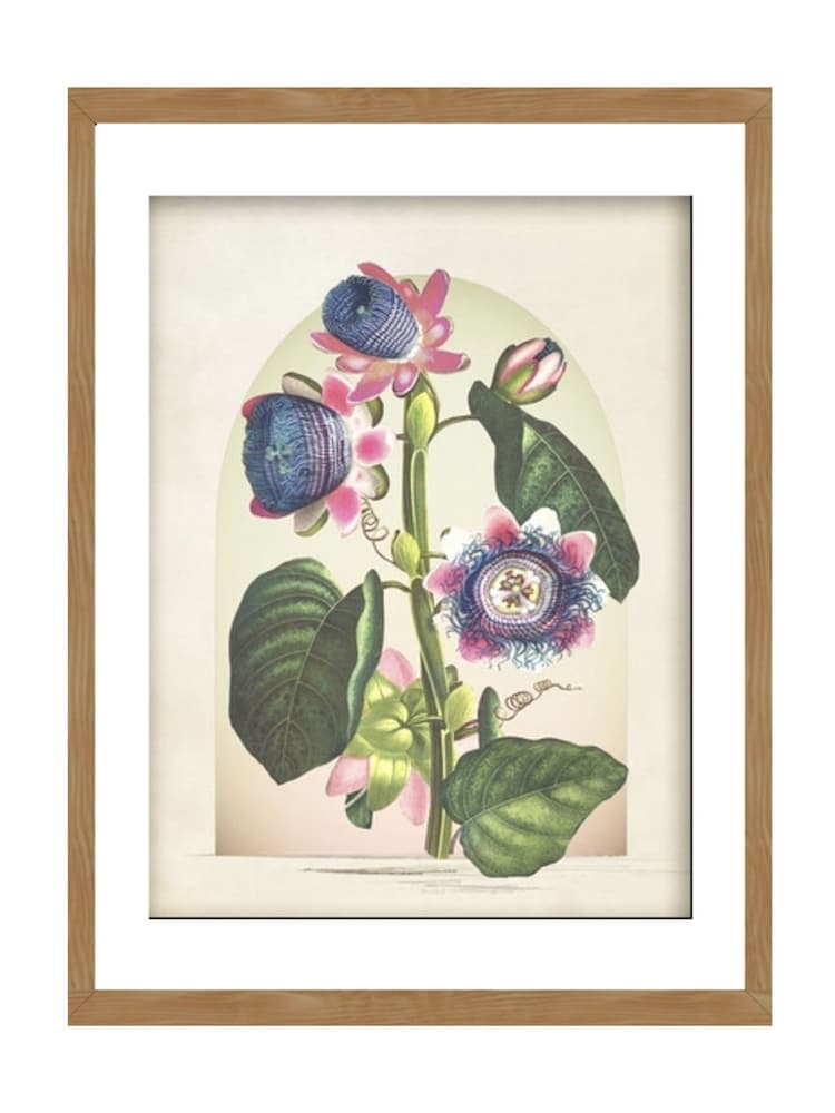 Graham & Brown Multicolour Botanique Jungle Bloom Wood Frame - Image 2 of 4