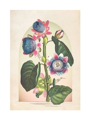 Graham & Brown Multicolour Botanique Jungle Bloom Wood Frame - Image 4 of 4