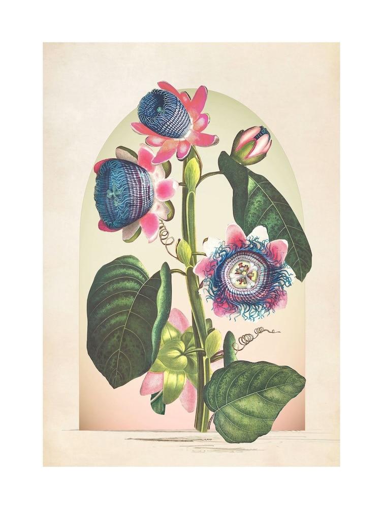 Graham & Brown Multicolour Botanique Jungle Bloom Wood Frame - Image 4 of 4