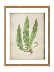 Graham & Brown Green Aspidium Lonchitis Wood Frame - Image 2 of 4
