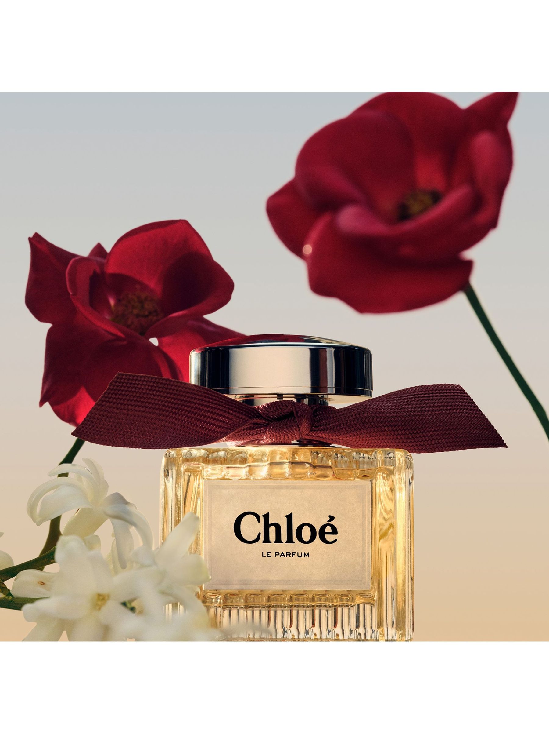Buy Chloé Le Parfum 50ml from the Next UK online shop