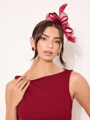 Lipsy Berry Red Mesh and Feather Fascinator Headband - Image 1 of 5