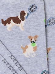 FatFace Light Grey Tennis Dog Socks - Image 2 of 2