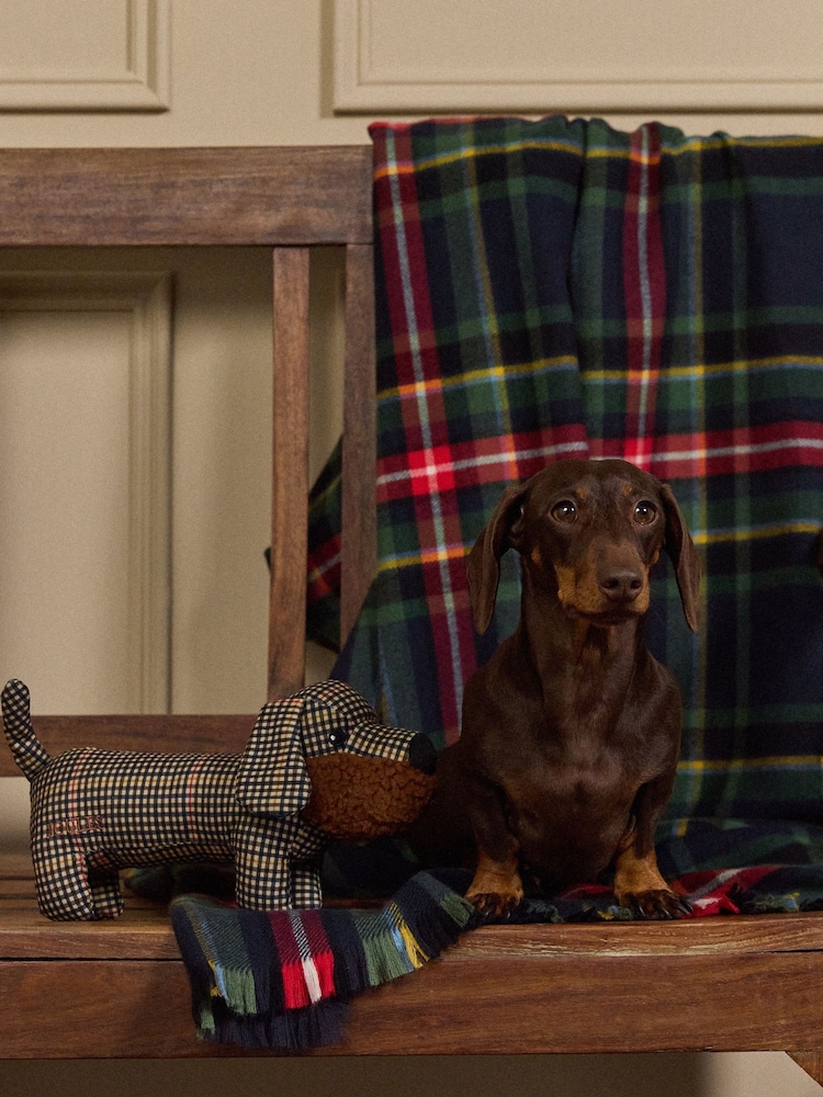 Joules Henson Check Heritage Dog Toy - Image 1 of 9 Joules Henson Check Heritage Dog Toy - Image 1 of 9