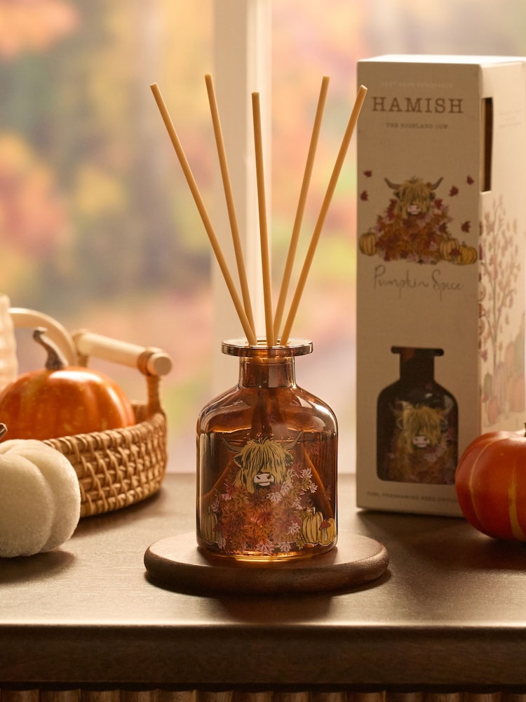 Pumpkin Spice Orange Hamish the Highland Cow 70ml Reed Diffuser - Image 1 of 3