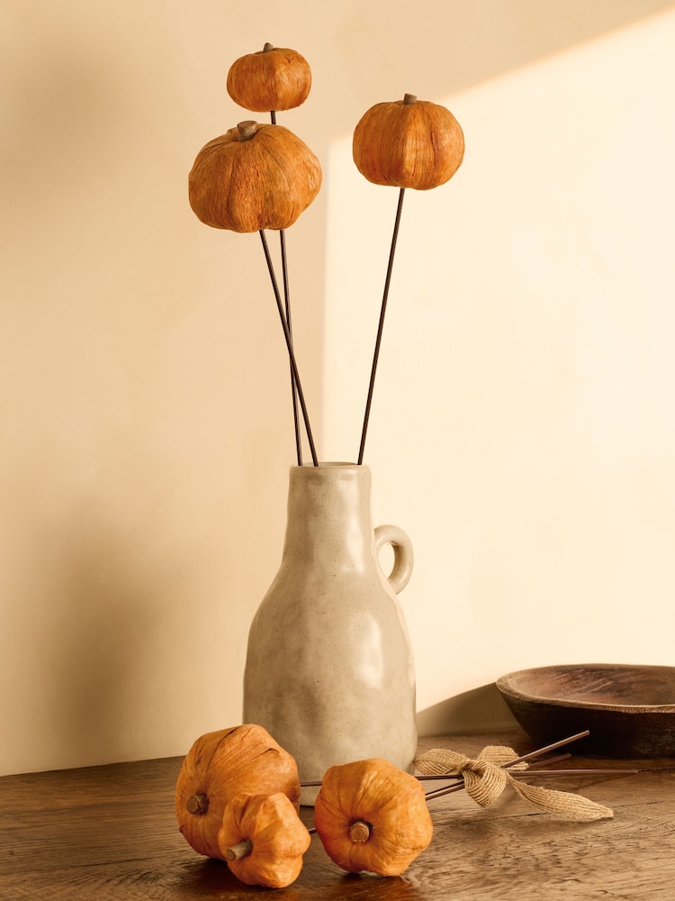 Pumpkin Spice Pot Pourri - Image 1 of 3 Pumpkin Spice Pot Pourri - Image 1 of 3
