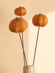 Pumpkin Spice Pot Pourri - Image 2 of 3