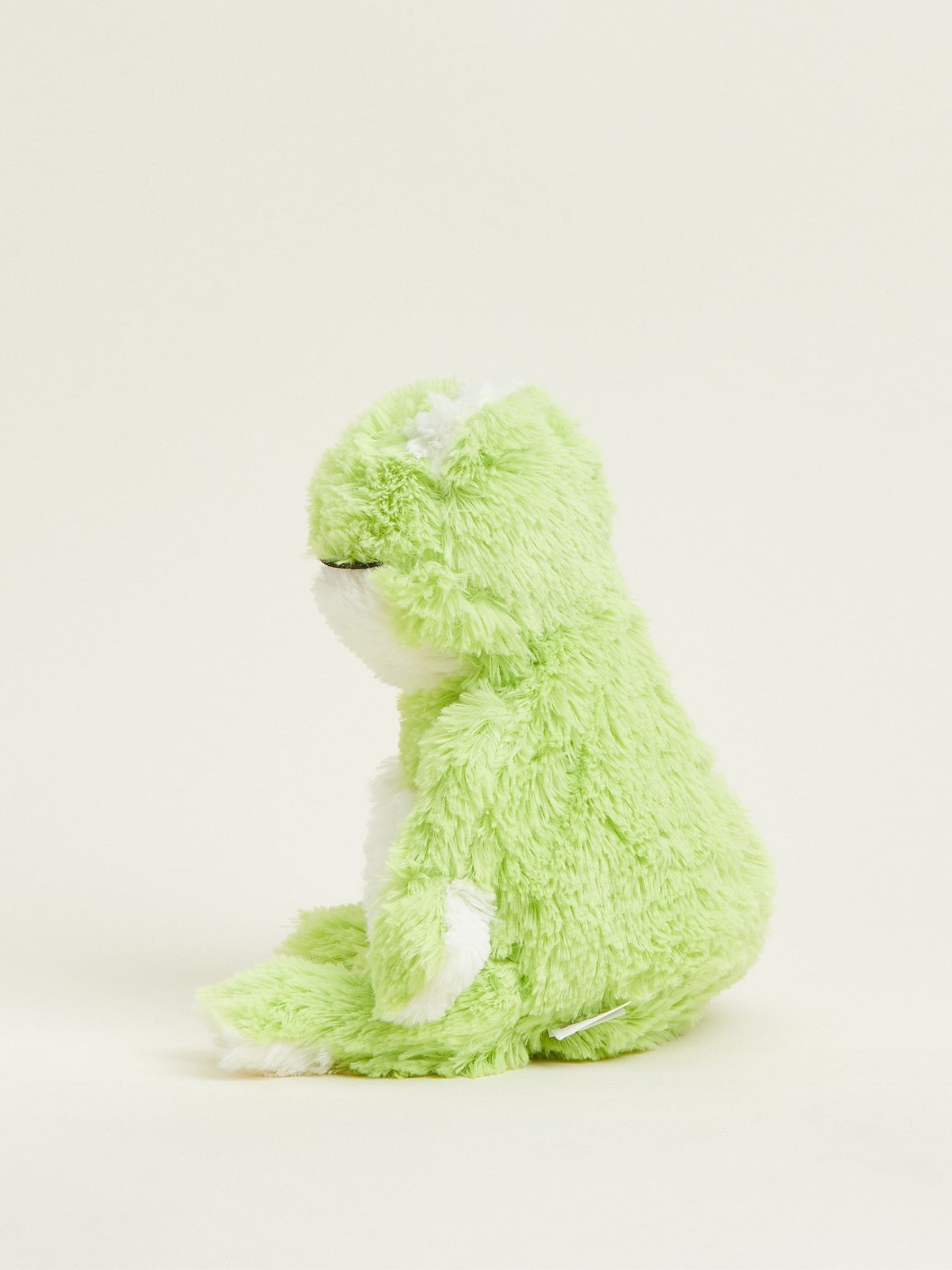 Buy Warmies Green Large Frog Fully Heatable Soft Toy from the Next