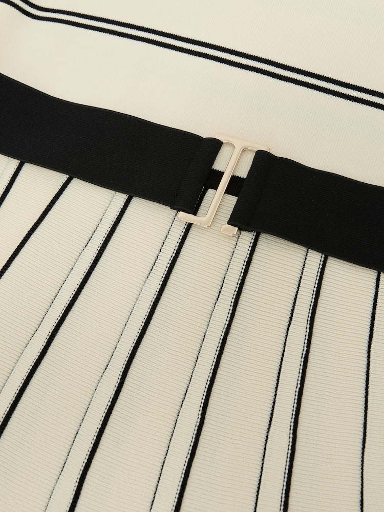 Reiss Ivory/Black Mallory Sleeveless Stripe Knitted Midi Dress - Image 6 of 6