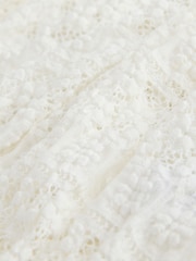 Ecru Sleeveless Lace Halter Neck Top - Image 7 of 8