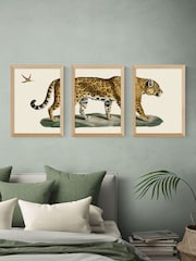 East End Prints Set of 3 Oak Jaguar Wall Art Prints by Natural History Museum - Image 1 of 2
