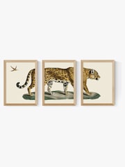 East End Prints Set of 3 Oak Jaguar Wall Art Prints by Natural History Museum - Image 2 of 2