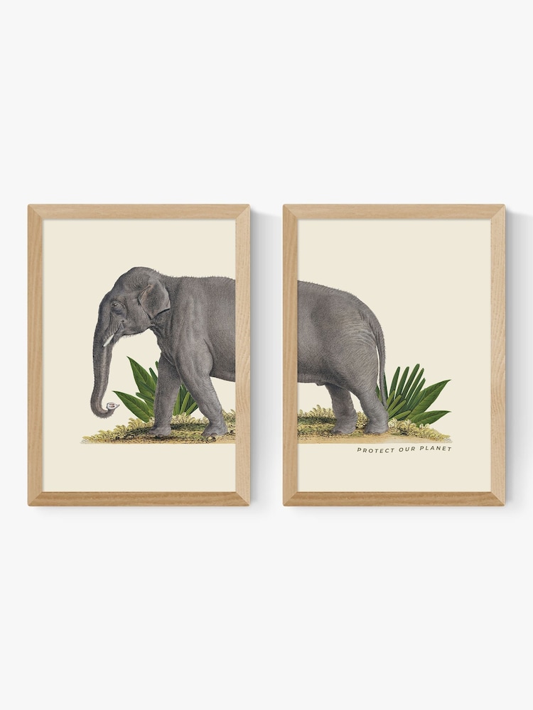 East End Prints Set of 2 Oak Elephant Wall Art Prints by Natural History Museum - Image 2 of 2 East End Prints Set of 2 Oak Elephant Wall Art Prints by Natural History Museum - Image 2 of 2