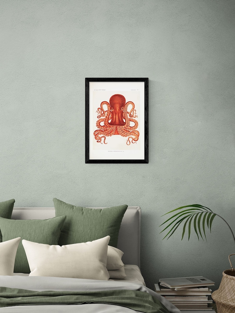 East End Prints Black Octopus Wall Art Print by Natural History Museum - Image 1 of 2