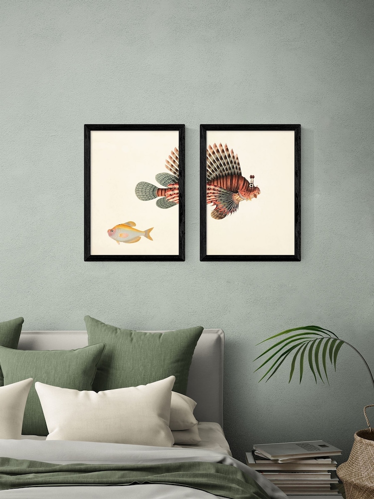 East End Prints Set of 2 Black Fish Wall Art Prints by Natural History Museum - Image 1 of 2 East End Prints Set of 2 Black Fish Wall Art Prints by Natural History Museum - Image 1 of 2