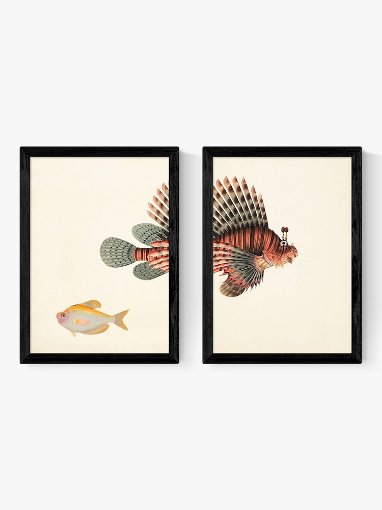 East End Prints Set of 2 Black Fish Wall Art Prints by Natural History Museum - Image 2 of 2 East End Prints Set of 2 Black Fish Wall Art Prints by Natural History Museum - Image 2 of 2