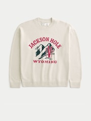 Hollister Cream Crew Neck Apres Ski Sweatshirt - Image 4 of 5