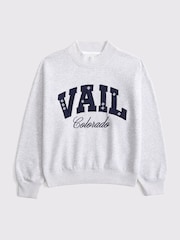 Abercrombie & Fitch Grey Ski Resort Sunday Mockneck Crew Neck Sweat Top - Image 1 of 2