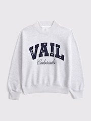 Abercrombie & Fitch Grey Ski Resort Sunday Mockneck Crew Neck Sweatshirt - Image 6 of 7