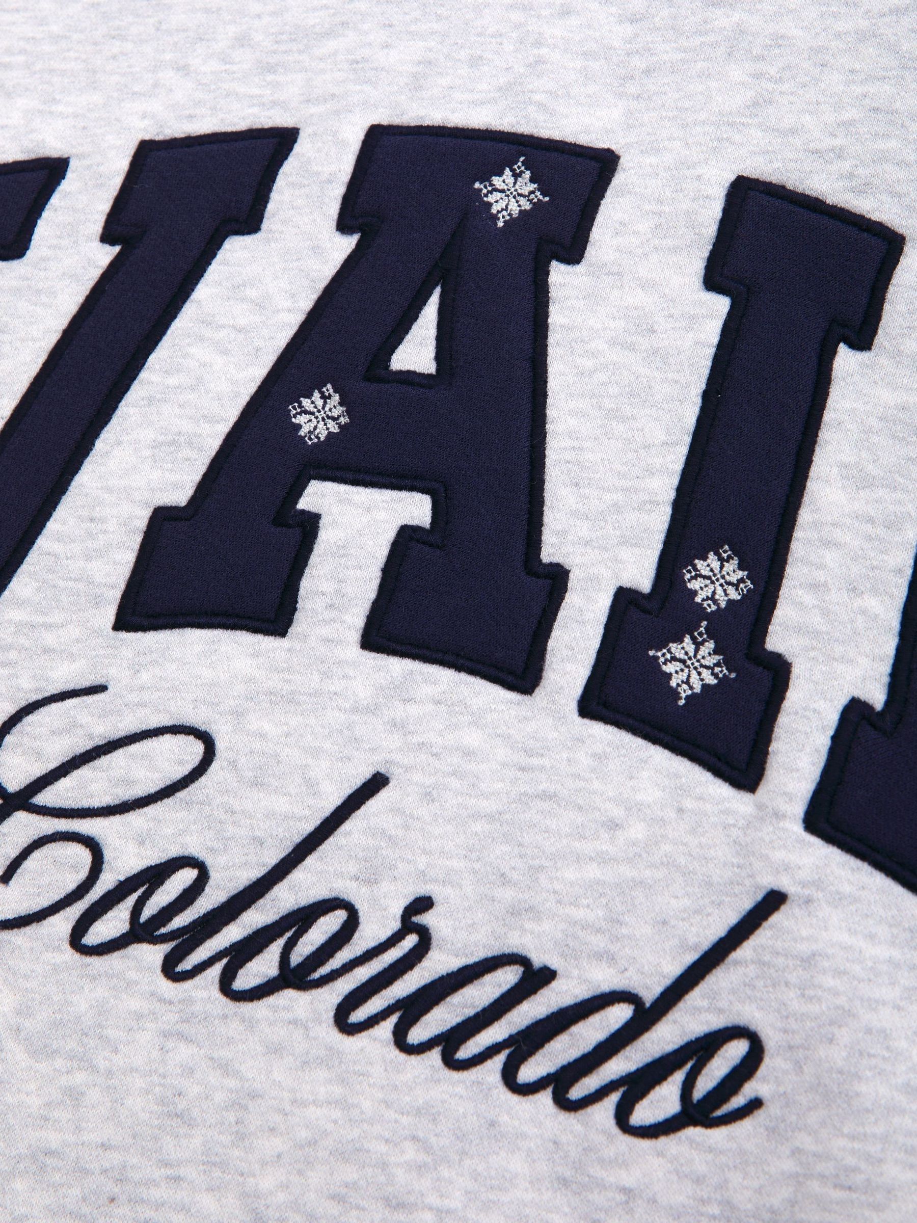 Buy Abercrombie & Fitch Grey Ski Resort Sunday Mockneck Crew Neck