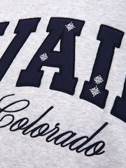 Abercrombie & Fitch Grey Ski Resort Sunday Mockneck Crew Neck Sweatshirt - Image 7 of 7