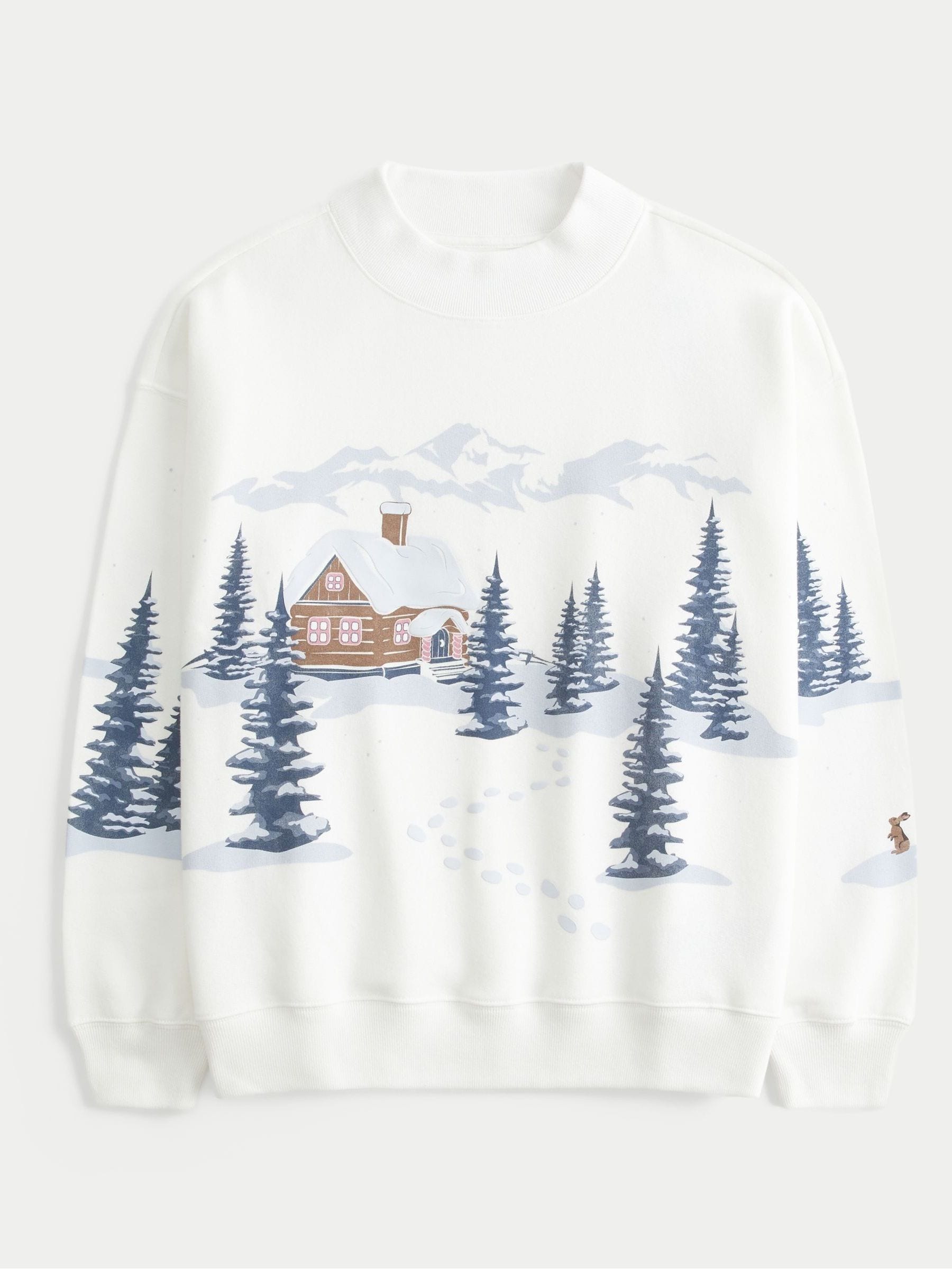 Buy Hollister Christmas Ski Graphic Sweatshirt from Next USA