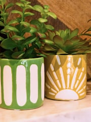 FatFace Set of 3 Multi Artificial Succulents - Image 3 of 5