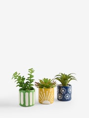 FatFace Set of 3 Multi Artificial Succulents - Image 5 of 5