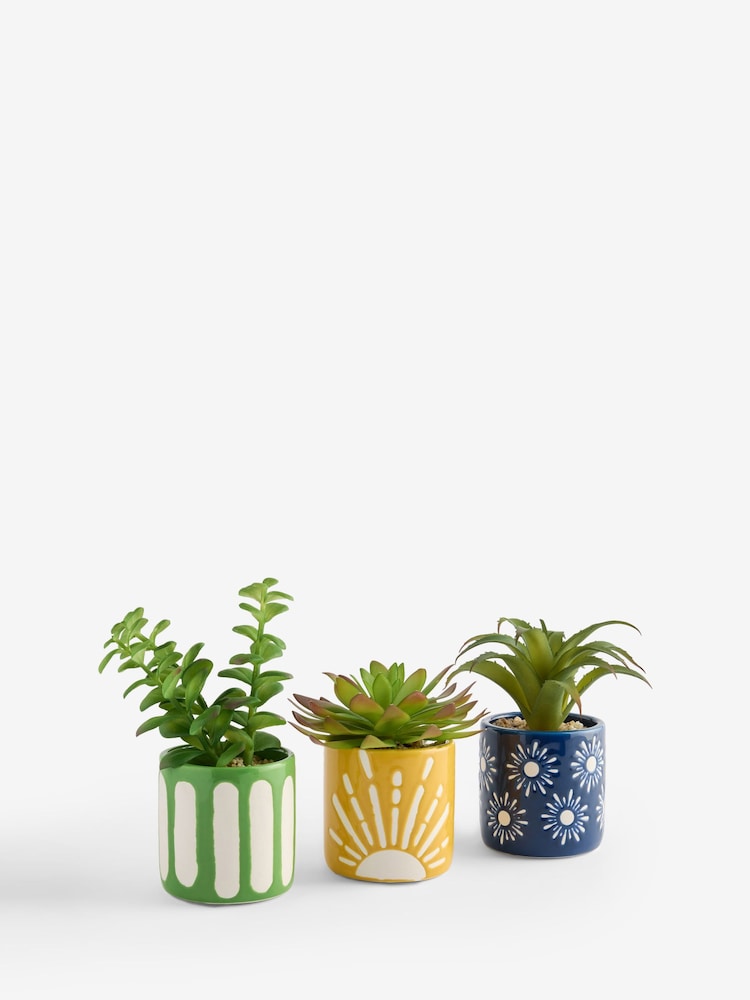 FatFace Set of 3 Multi Artificial Succulents - Image 5 of 5 FatFace Set of 3 Multi Artificial Succulents - Image 5 of 5