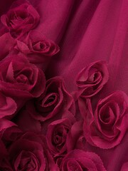 Monsoon Red Eden Velvet Rose Appliqué Party Dress - Image 4 of 4