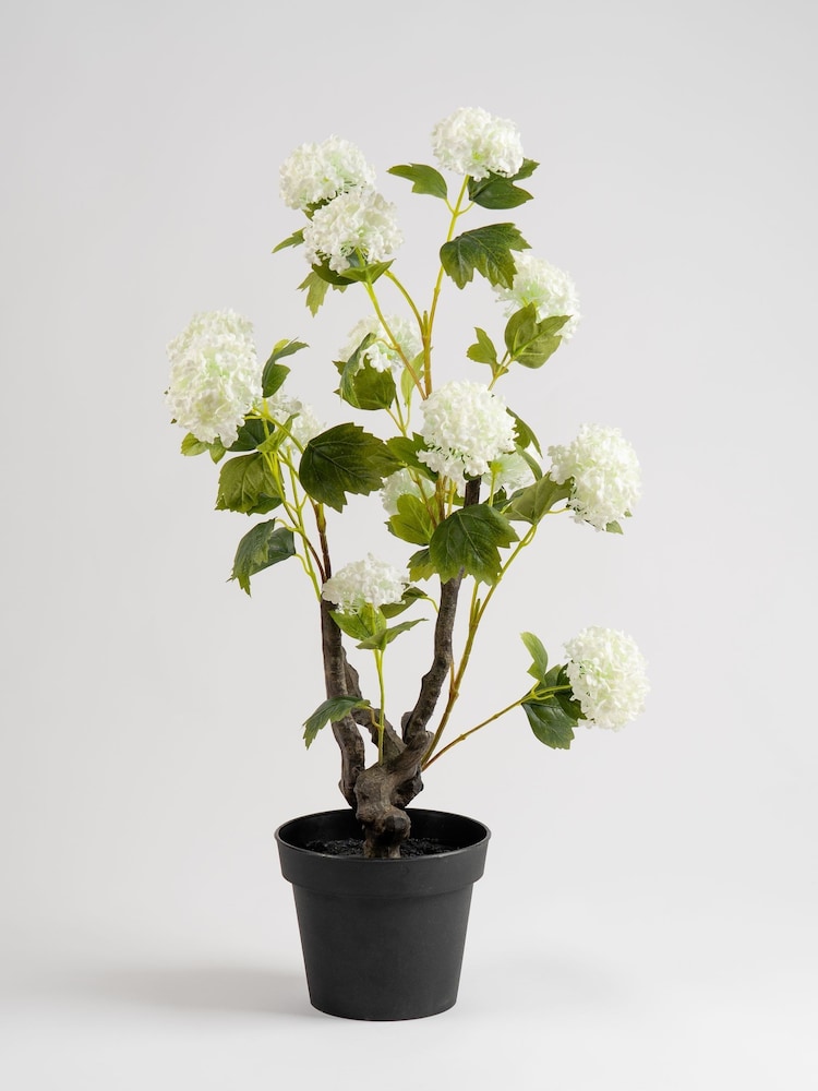 Künstliche Topfhortensie von Scottish Everlastings Ltd - Bild 3 von 3
