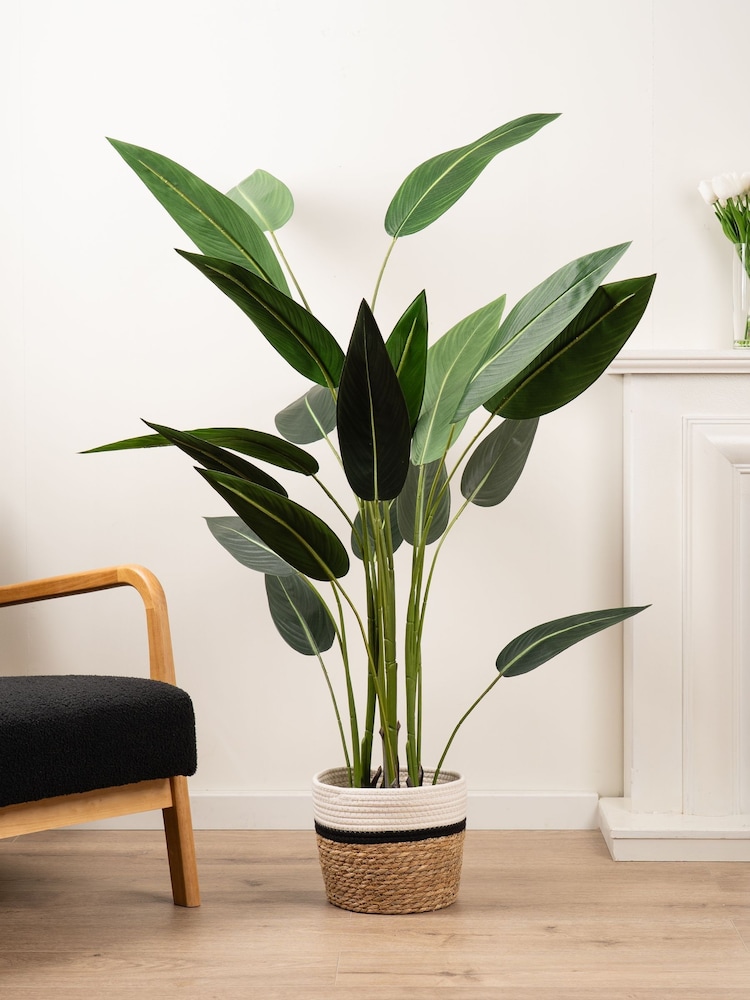 Scottish Everlastings Ltd Green Artificial Bird of Paradise Tree - Image 1 of 6 Scottish Everlastings Ltd Green Artificial Bird of Paradise Tree - Image 1 of 6