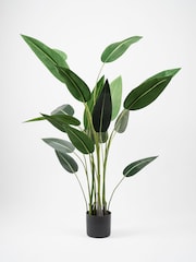 Scottish Everlastings Ltd Green Artificial Bird of Paradise Tree - Image 3 of 6